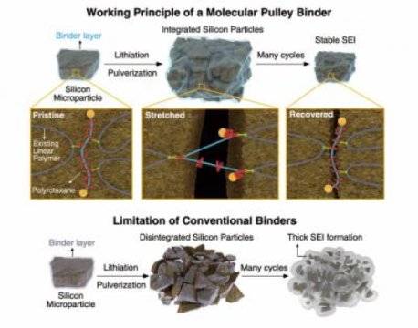 鋰電池性能突破：分子“滑輪”粘合劑