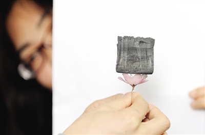 工作人員將一塊100立方厘米的“全碳?xì)饽z”放在一朵花上進(jìn)行展示。新華社記者